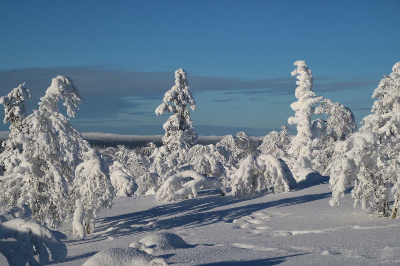 Polaris Homes For You, Apartment Rovaniemi Buitenkant foto
