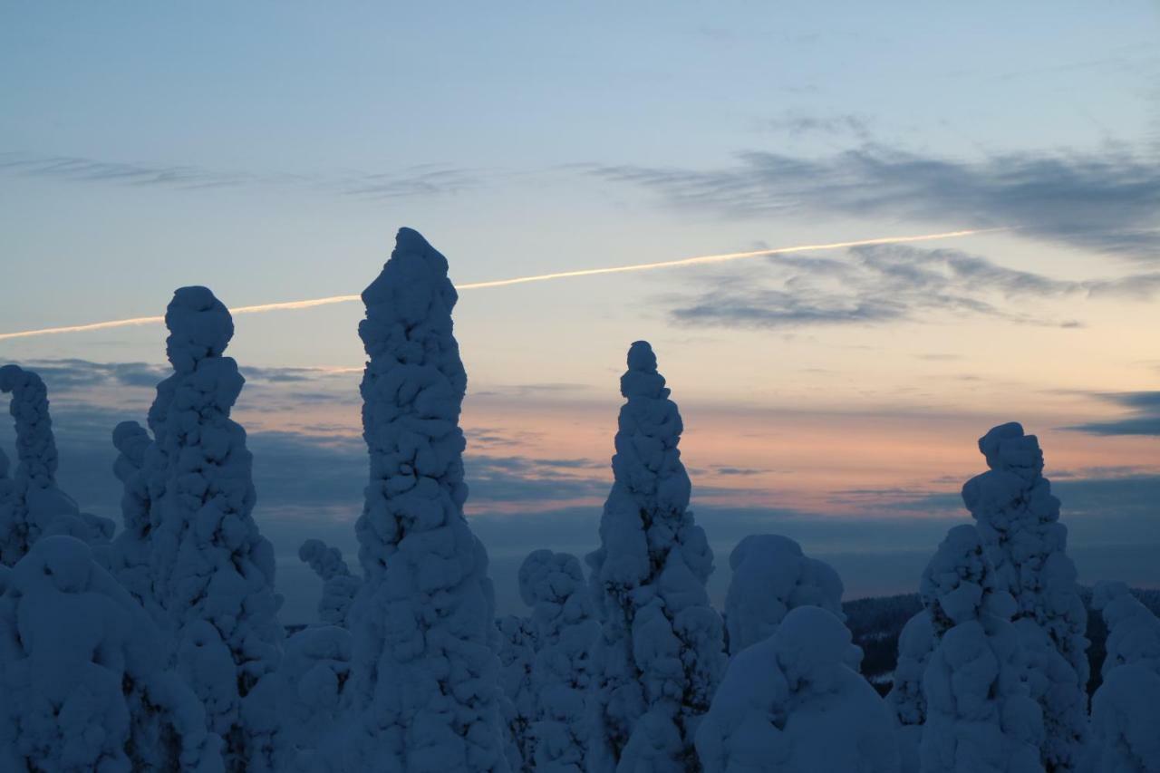 Polaris Homes For You, Apartment Rovaniemi Buitenkant foto